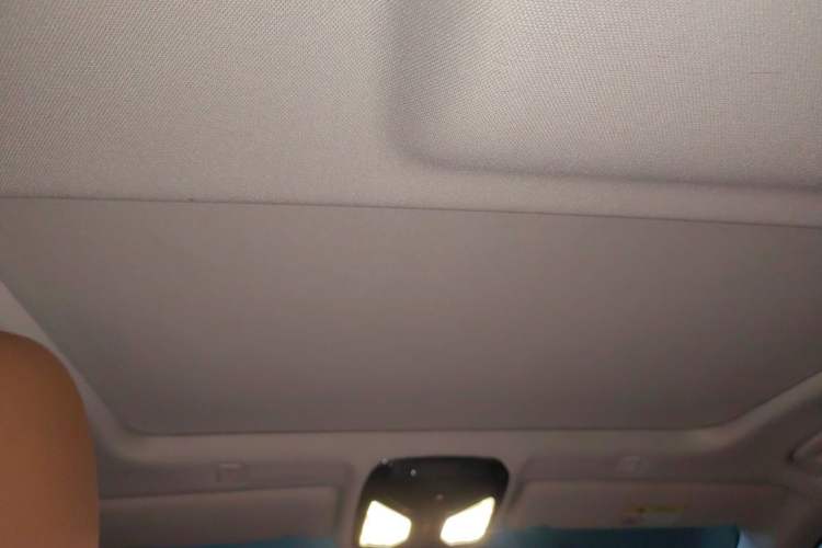 Used BMW 5 Series 2018 528Li Launch Special Edition Headliner