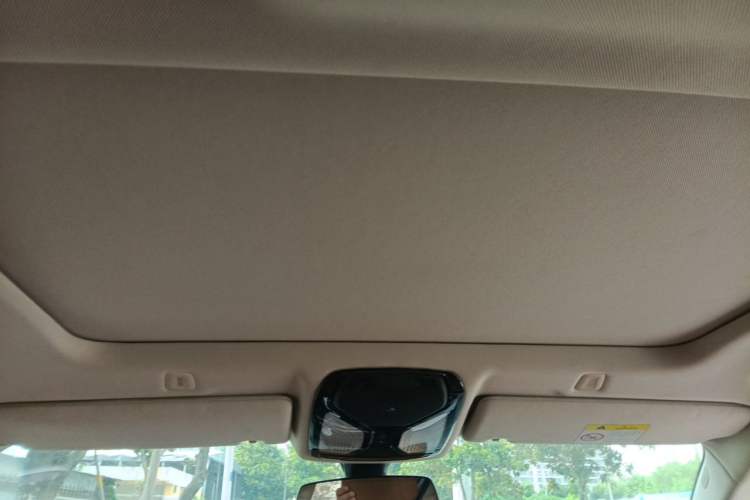Used BMW 5 Series 2018 528Li Launch Special Edition Headliner