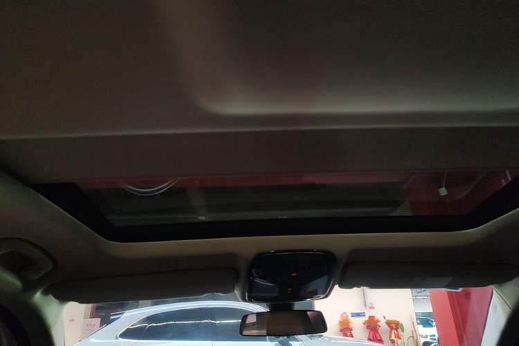 Used BMW 5 Series 2018 528Li Launch Special Edition Headliner