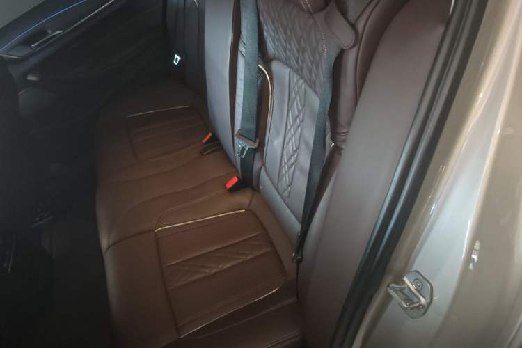 Used BMW 5 Series 2018 Revised Version 530Li Leading Edition Luxury Package Left Rear Seat
