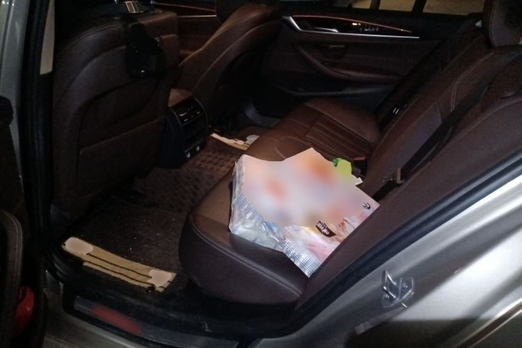 Used BMW 5 Series 2018 525Li Luxury Package Left Rear Seat