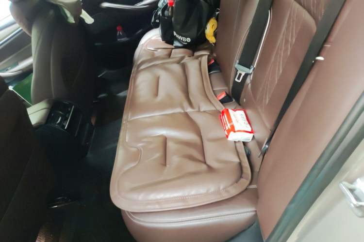 Used BMW 5 Series 2018 530Li Leading Edition Luxury Package Left Rear Seat