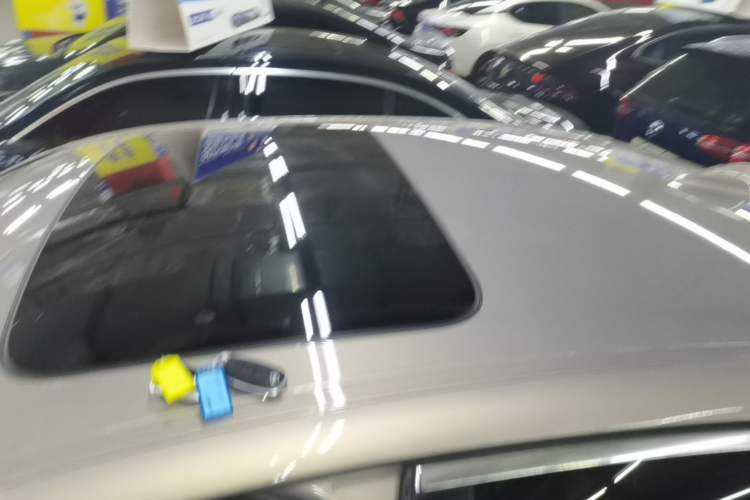 Used BMW 5 Series 2018 528Li Launch Special Edition Roof
