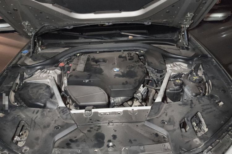 Used BMW 5 Series 2018 530Li Luxury Edition Premium Package Engine Bay