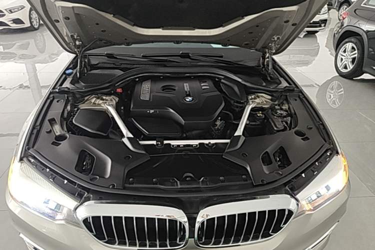 Used BMW 5 Series 2018 Revised Version 530Li Leading Edition Luxury Package Engine Bay
