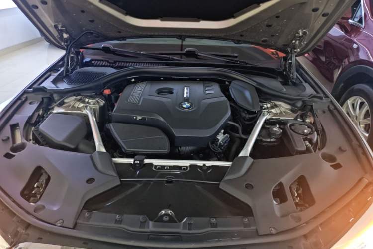 Used BMW 5 Series 2018 Facelifted 530Li Luxury Edition Premium Package Engine Bay