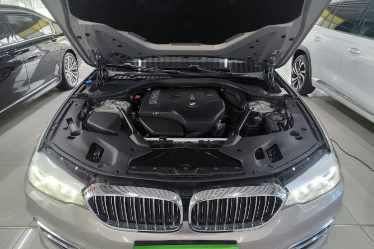 Used BMW 5 Series 2018 530Li Leading Edition Luxury Package Engine Bay