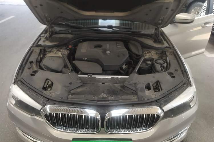 Used BMW 5 Series 2018 530Li xDrive Luxury Package Engine Bay