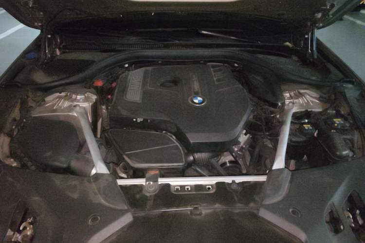 Used BMW 5 Series 2018 Facelifted 530Li Luxury Edition Premium Package Engine Bay
