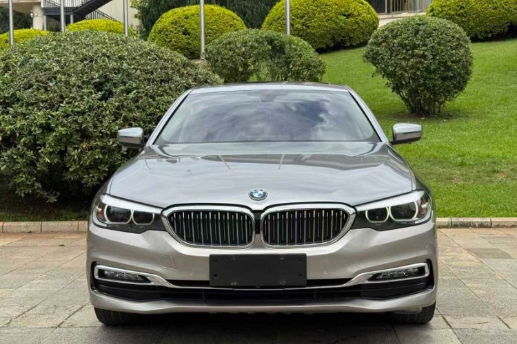Used BMW 5 Series 2018 525Li Luxury Package Exterior 1