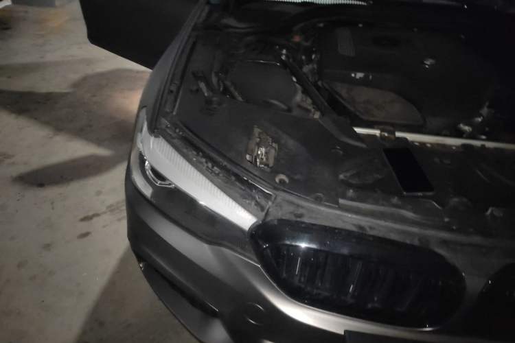 Used BMW 5 Series 2018 Restyled 530Li Leading Edition M Sport Package Exterior 6