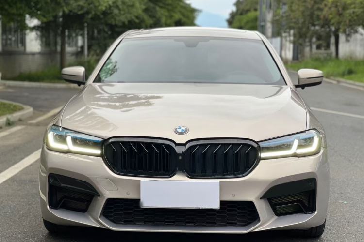 Used BMW 5 Series 2018 530Li xDrive Luxury Package Exterior 7