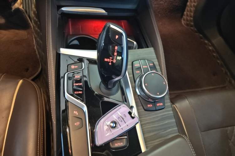 Used BMW 5 Series 2018 Facelifted 530Li Luxury Edition Premium Package Gear Lever