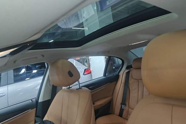 Used BMW 5 Series 2018 528Li Launch Special Edition Headliner