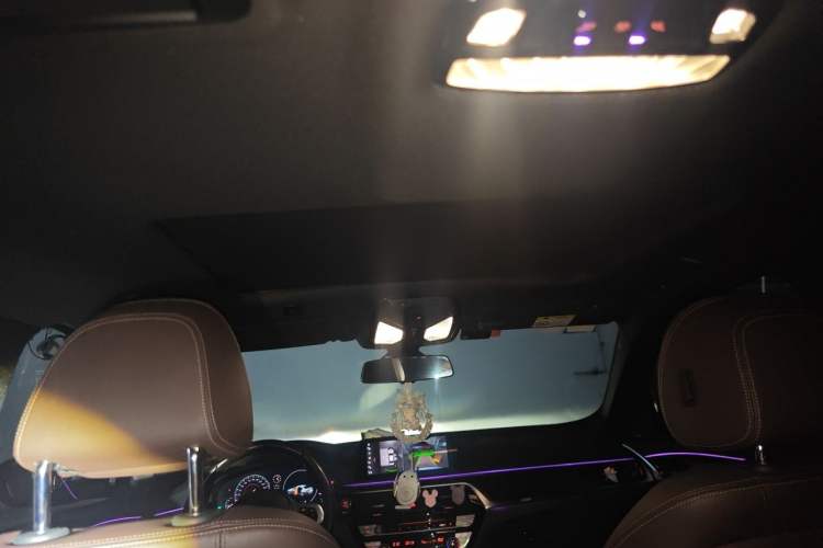Used BMW 5 Series 2018 525Li Luxury Package Headliner