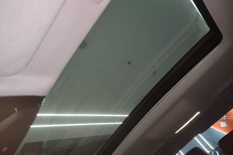 Used BMW 5 Series 2018 528Li Launch Special Edition Headliner