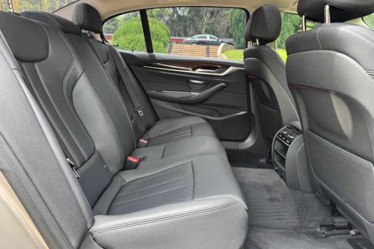 Used BMW 5 Series 2018 525Li Luxury Package Interior 8