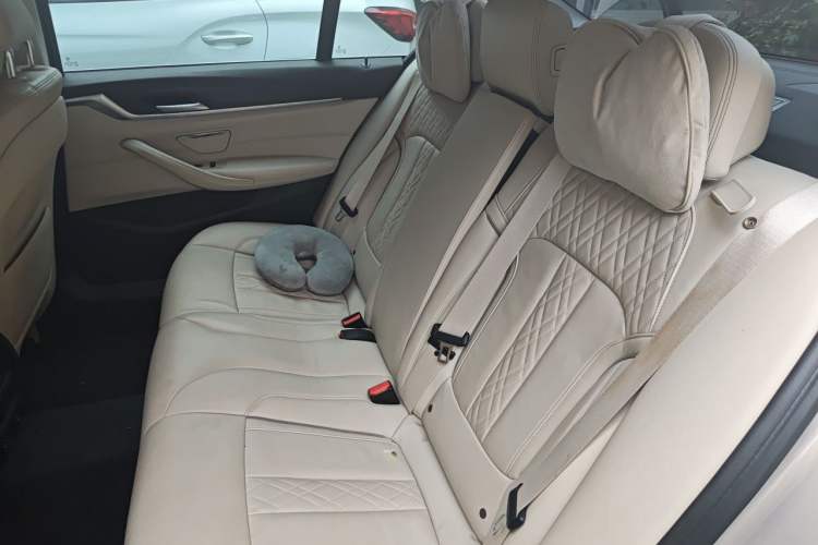 Used BMW 5 Series 2018 530Li Leading Edition Luxury Package Left Rear Seat