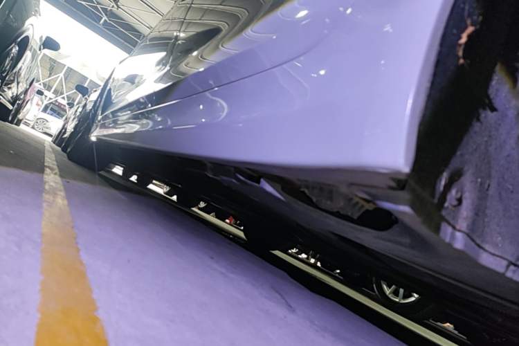 Used BMW 5 Series 2018 530Li Leading Edition Luxury Package Left Side Sill