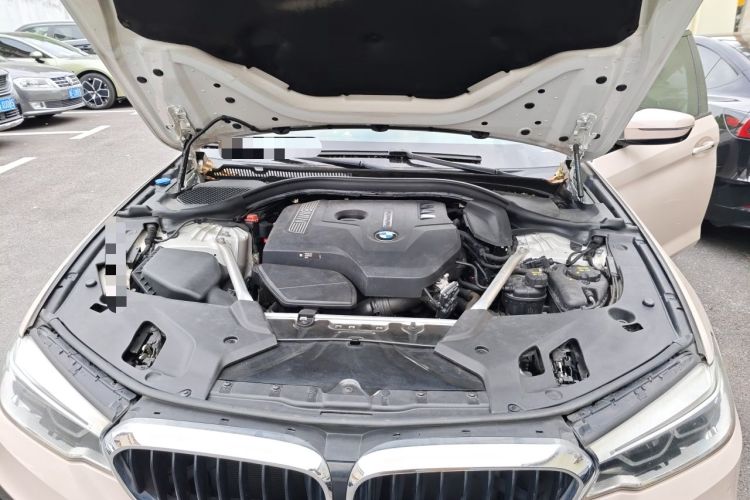 Used BMW 5 Series 2018 Restyled 530Li Luxury Edition M Sport Package Engine Bay
