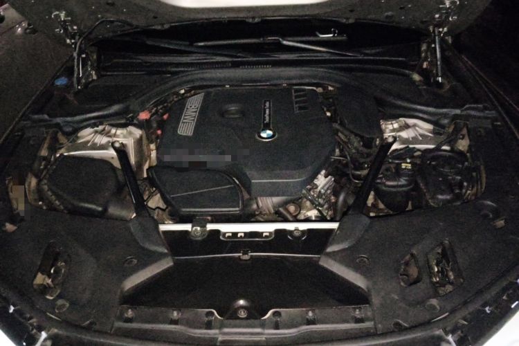 Used BMW 5 Series 2018 Facelifted 530Li Luxury Edition Premium Package Engine Bay