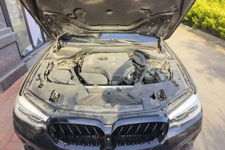 Used BMW 5 Series 2018 530Li Luxury Edition Premium Package Engine Bay