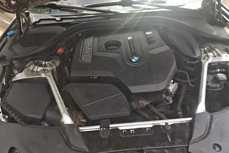 Used BMW 5 Series 2018 530Li Leading Edition Luxury Package Engine Bay