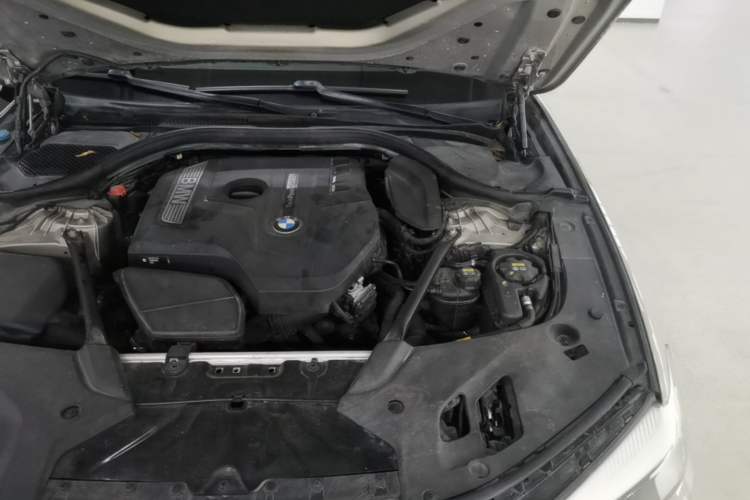 Used BMW 5 Series 2018 530Li Leading Edition Luxury Package Engine Bay Left
