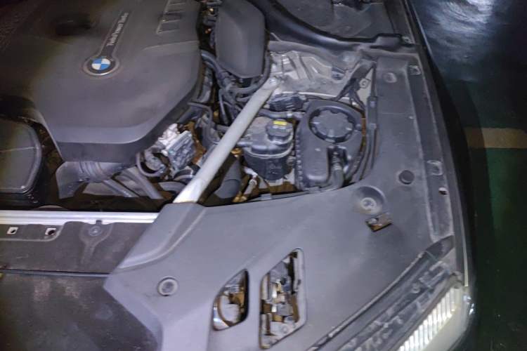 Used BMW 5 Series 2018 530Li Leading Edition Luxury Package Engine Bay Left
