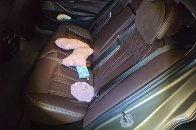 Used BMW 5 Series 2018 530Li Leading Edition Luxury Package Left Rear Seat
