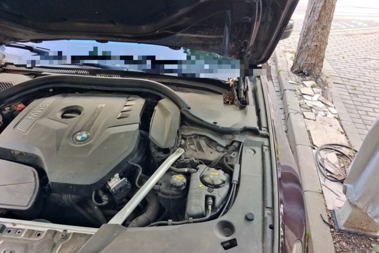 Used BMW 5 Series 2018 Restyled 530Li Leading Edition M Sport Package Engine Bay Left