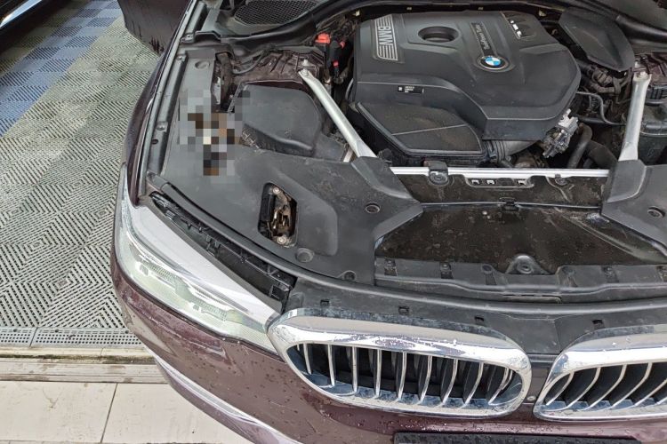 Used BMW 5 Series 2018 Facelifted 530Li Luxury Edition Premium Package Engine Bay Right