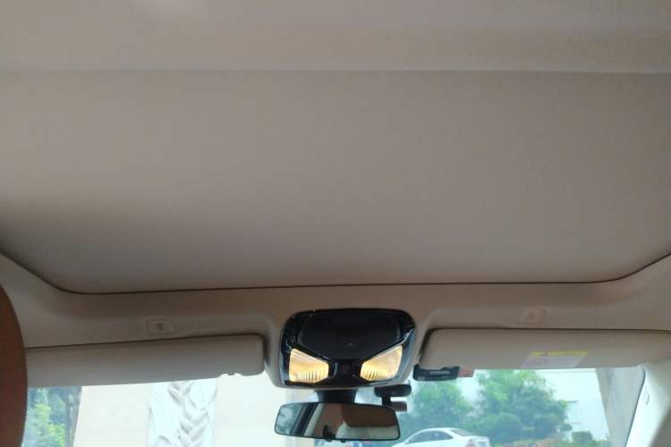 Used BMW 5 Series 2018 528Li Launch Special Edition Headliner