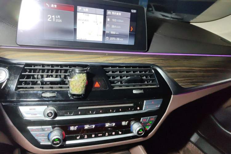 Used BMW 5 Series 2018 Revised Version 530Li Leading Edition Luxury Package Audio And AC Panel
