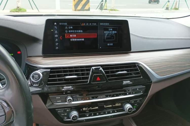 Used BMW 5 Series 2018 530Li Leading Edition Luxury Package Audio And AC Panel