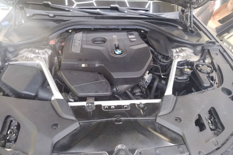 Used BMW 5 Series 2018 Revised Version 530Li Leading Edition Luxury Package Engine Bay