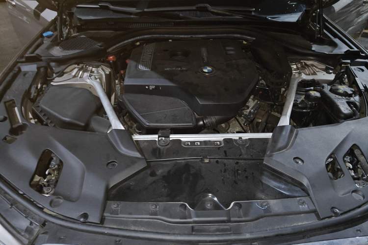 Used BMW 5 Series 2018 Facelifted 530Li Luxury Edition Premium Package Engine Bay