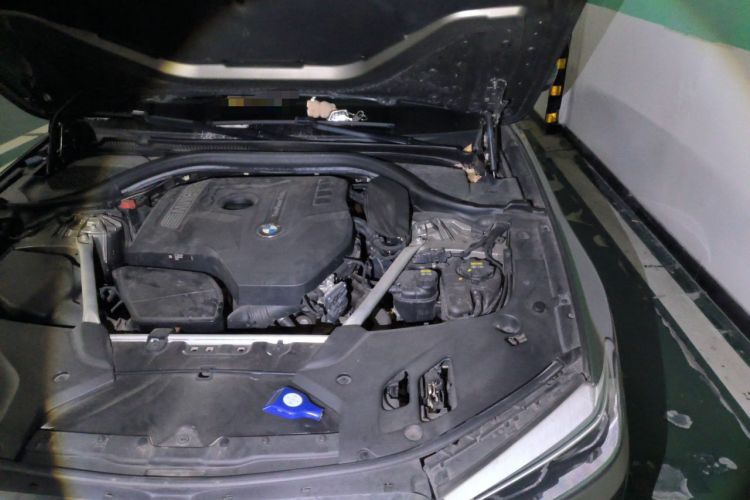 Used BMW 5 Series 2018 Facelifted 530Li Luxury Edition Premium Package Engine Bay Left