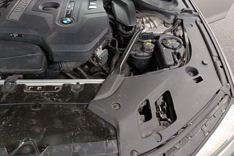 Used BMW 5 Series 2018 530Li Leading Edition Luxury Package Engine Bay Left