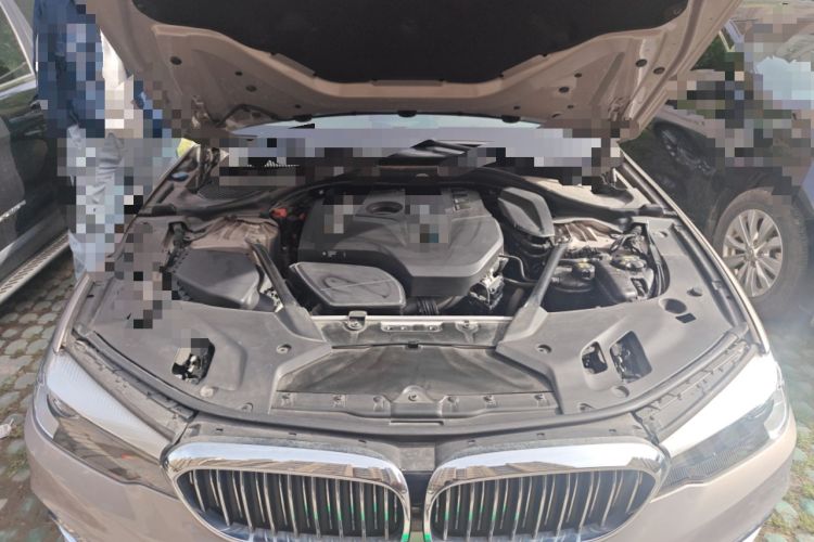 Used BMW 5 Series 2018 530Li Leading Edition Luxury Package Engine Bay
