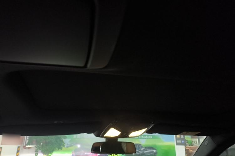 Used BMW 5 Series 2018 530Li Leading Model M Sport Package Headliner