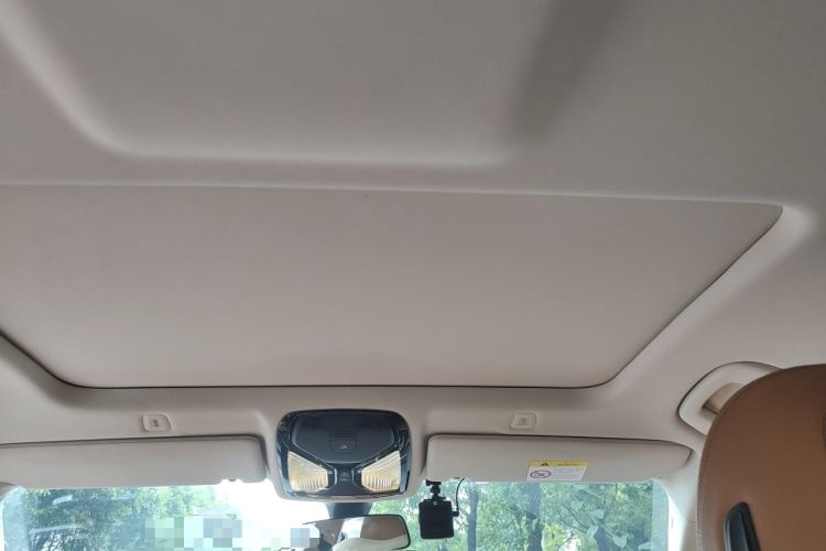 Used BMW 5 Series 2018 528Li Launch Special Edition Headliner