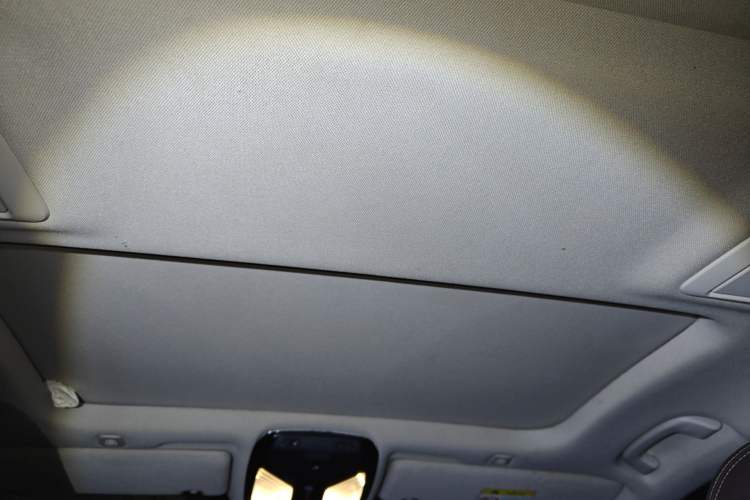 Used BMW 5 Series 2018 Facelifted 530Li Luxury Edition Premium Package Headliner