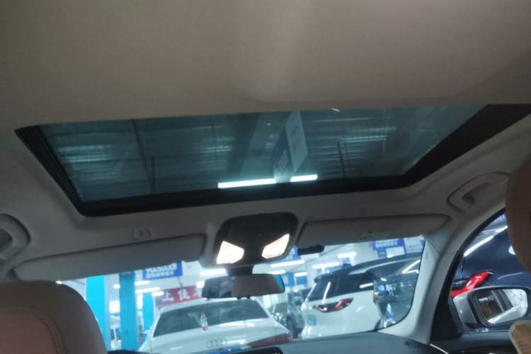 Used BMW 5 Series 2018 528Li Launch Special Edition Headliner