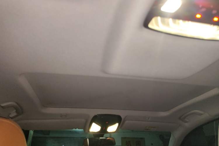 Used BMW 5 Series 2018 528Li Launch Special Edition Headliner