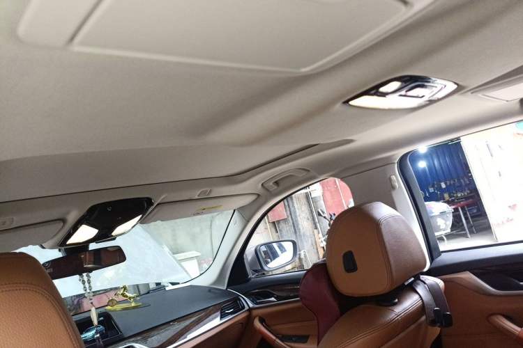 Used BMW 5 Series 2018 528Li Launch Special Edition Headliner