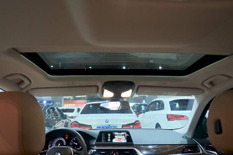 Used BMW 5 Series 2018 528Li Launch Special Edition Headliner