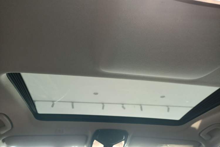 Used BMW 5 Series 2018 528Li Launch Special Edition Headliner