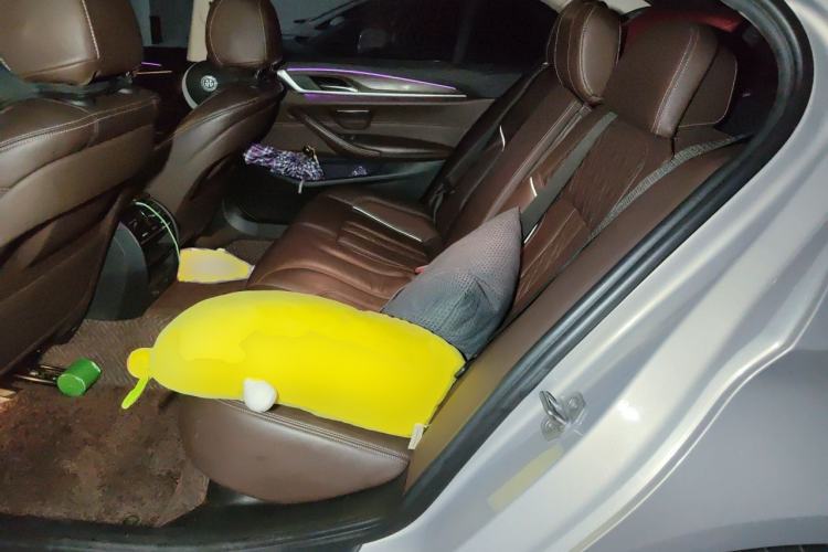 Used BMW 5 Series 2018 Revised Version 530Li Leading Edition Luxury Package Left Rear Seat