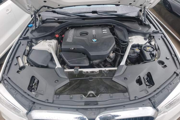 Used BMW 5 Series 2018 Restyled 530Li Luxury Edition M Sport Package Engine Bay